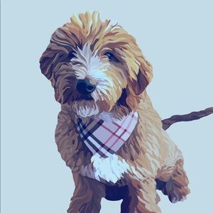 Meet your Posher, Carley